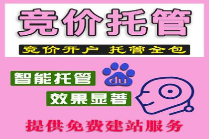 低成本高回报：百度包年竞价实战技巧揭秘